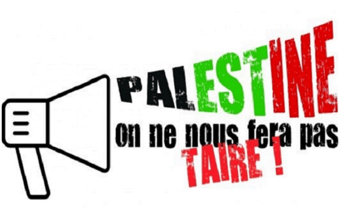 palestinetaire Appel à action : le Conseil européen doit rejeter la « définition IHRA » de l’antisémitisme !