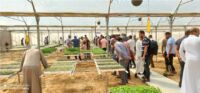 Rapport sur la situation agricole dans la bande de Gaza – juin et juillet 2022