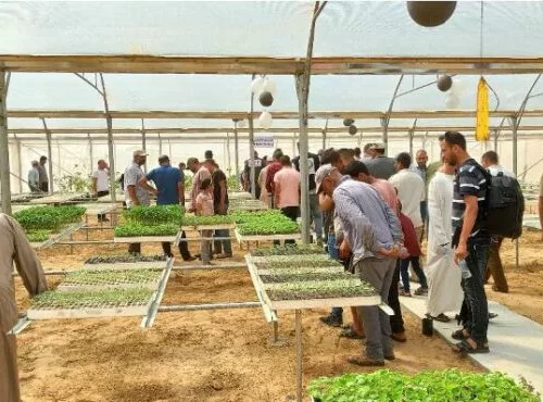 pépinière de gaza photo 2 septembre 2022 Rapport sur la situation agricole dans la bande de Gaza - juin et juillet 2022