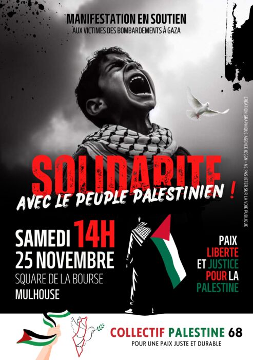 À Mulhouse, manifestation en soutien aux victimes des bombardements à Gaza.