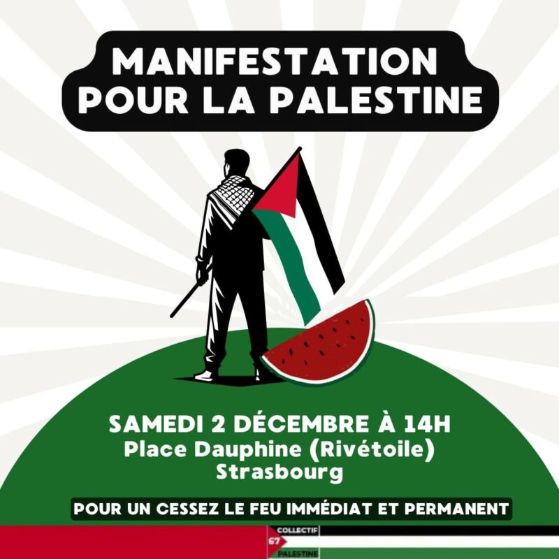 À Strasbourg, manifestation pour la Palestine UJFP
