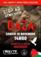 Stop au génocide gaza nov 2023 Mulhouse