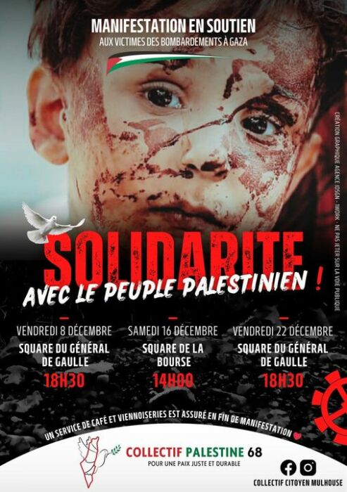 À Mulhouse (68), solidarité avec le peuple palestinien