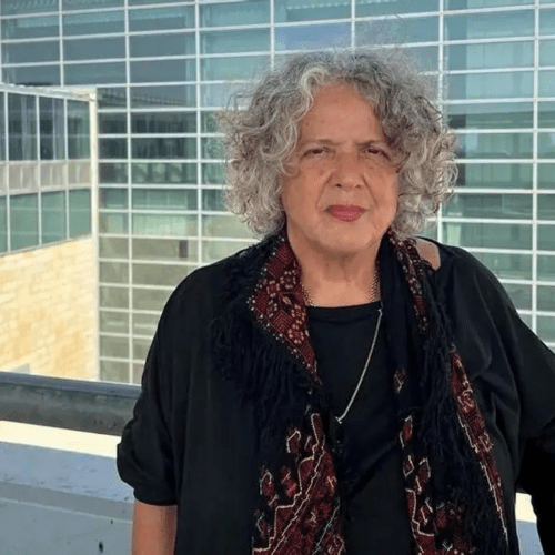 image 1 Nurit Peled, universitaire israélienne : « l’éducation en Israël entraîne la société à vivre dans un traumatisme perpétuel »