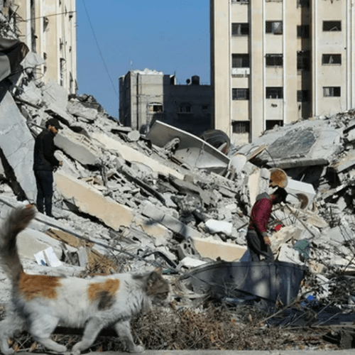 amira hass 26 1 24 Israël et Gaza, dans quelques années