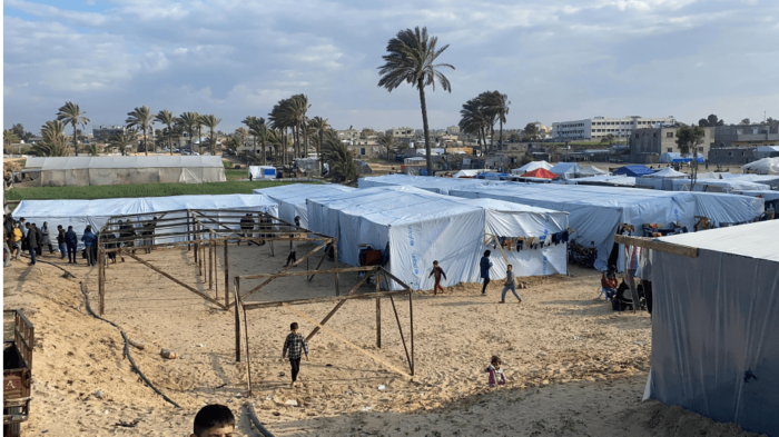 Khan Yunis 16 2 24 Témoignage de Gaza, le 16 février 2024 : installation du camp des paysans à Khan Yunis