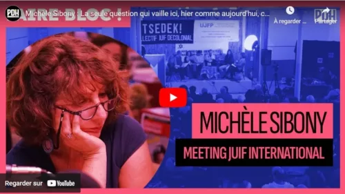 VideoPDHMicheleSMeeting jpg Michèle Sibony : "La seule question qui vaille ici, hier comme aujourd'hui, comment résistons-nous ?"