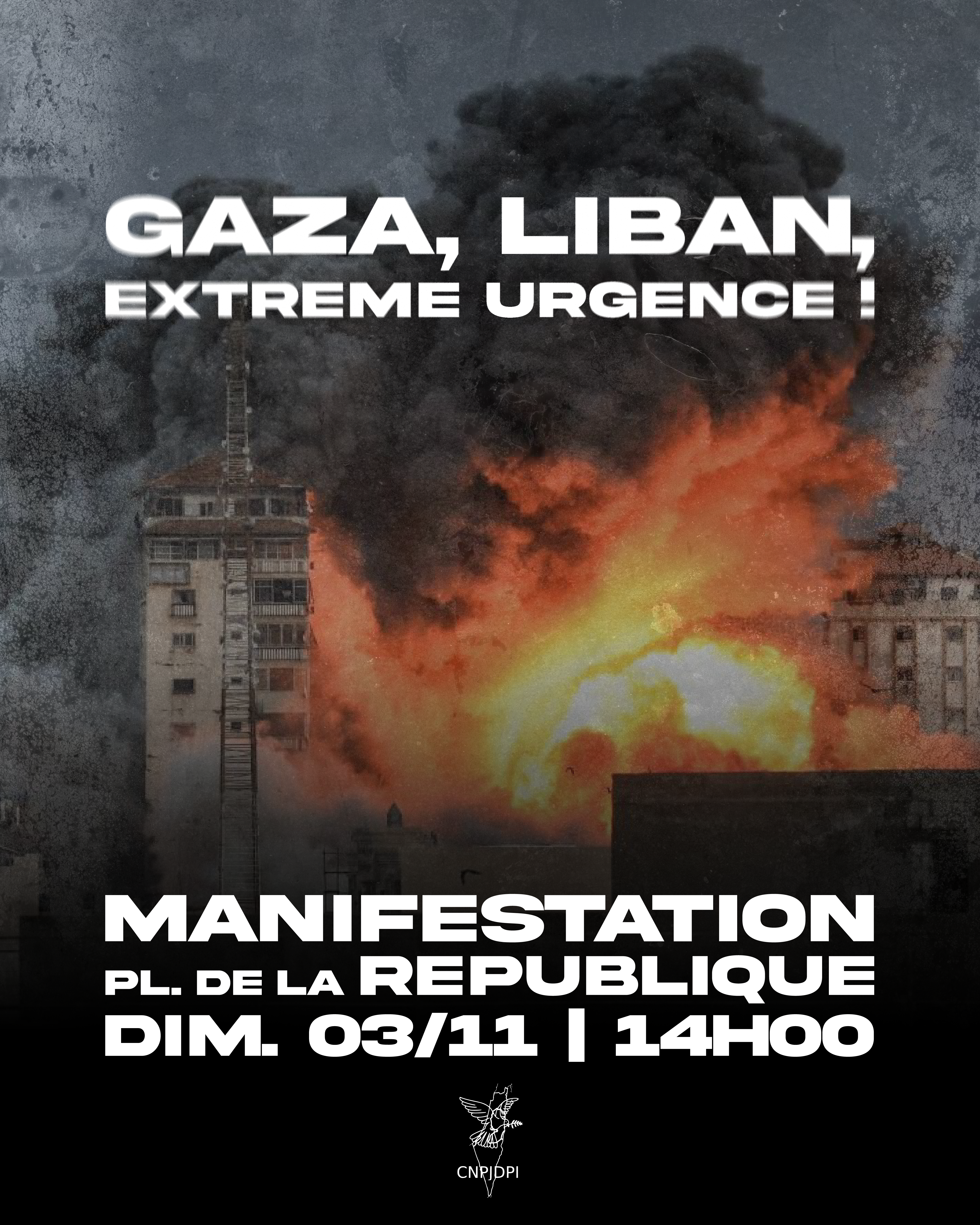cnpjdpi 03 11 Plan de travail 1 À Paris, manifestation "Gaza, Liban, extrême urgence"