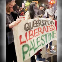 Milieu LGBTI, pinkwashing, mises au point