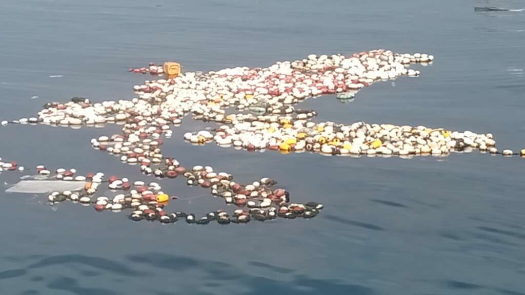 Témoignage de Zakaria Bakr, pêcheur, le 28 janvier – Retour au port de Gaza 20 le port 28 janvier 2025 2 Témoignage de Zakaria Bakr, pêcheur, le 28 janvier – Retour au port de Gaza