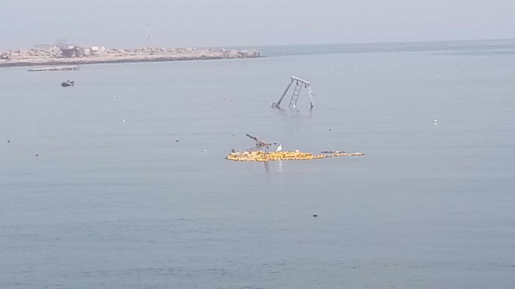 Témoignage de Zakaria Bakr, pêcheur, le 28 janvier – Retour au port de Gaza 21 le port 28 janvier 2025 3jpg Témoignage de Zakaria Bakr, pêcheur, le 28 janvier – Retour au port de Gaza