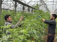 Témoignage d’Abu Amir, le 9 février – Renforcement de l’agriculture et amélioration de la production