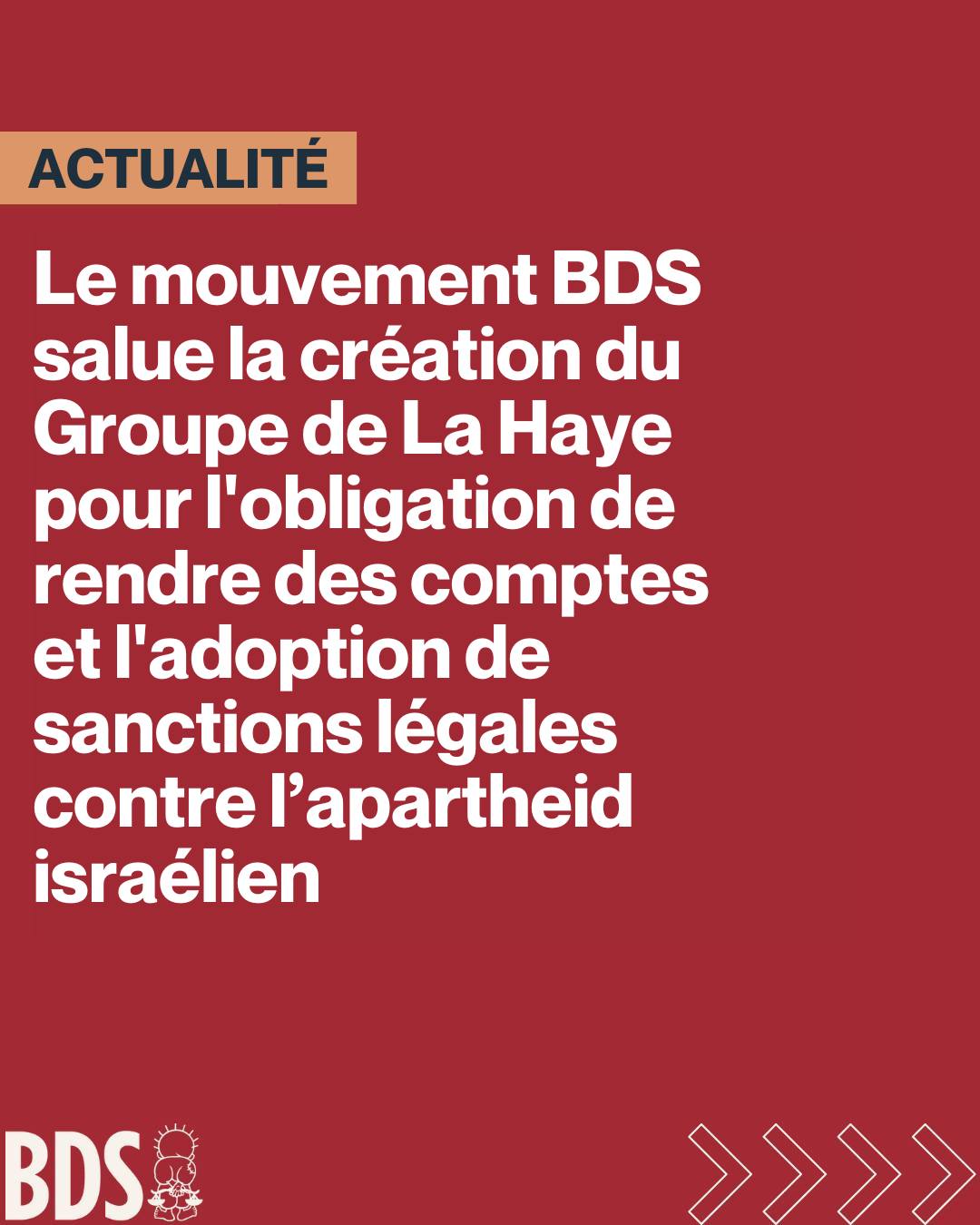 Neuf pays annoncent la création du Groupe de La Haye visant à défendre les droits des Palestiniens 3 Groupe1 Neuf pays annoncent la création du Groupe de La Haye visant à défendre les droits des Palestiniens