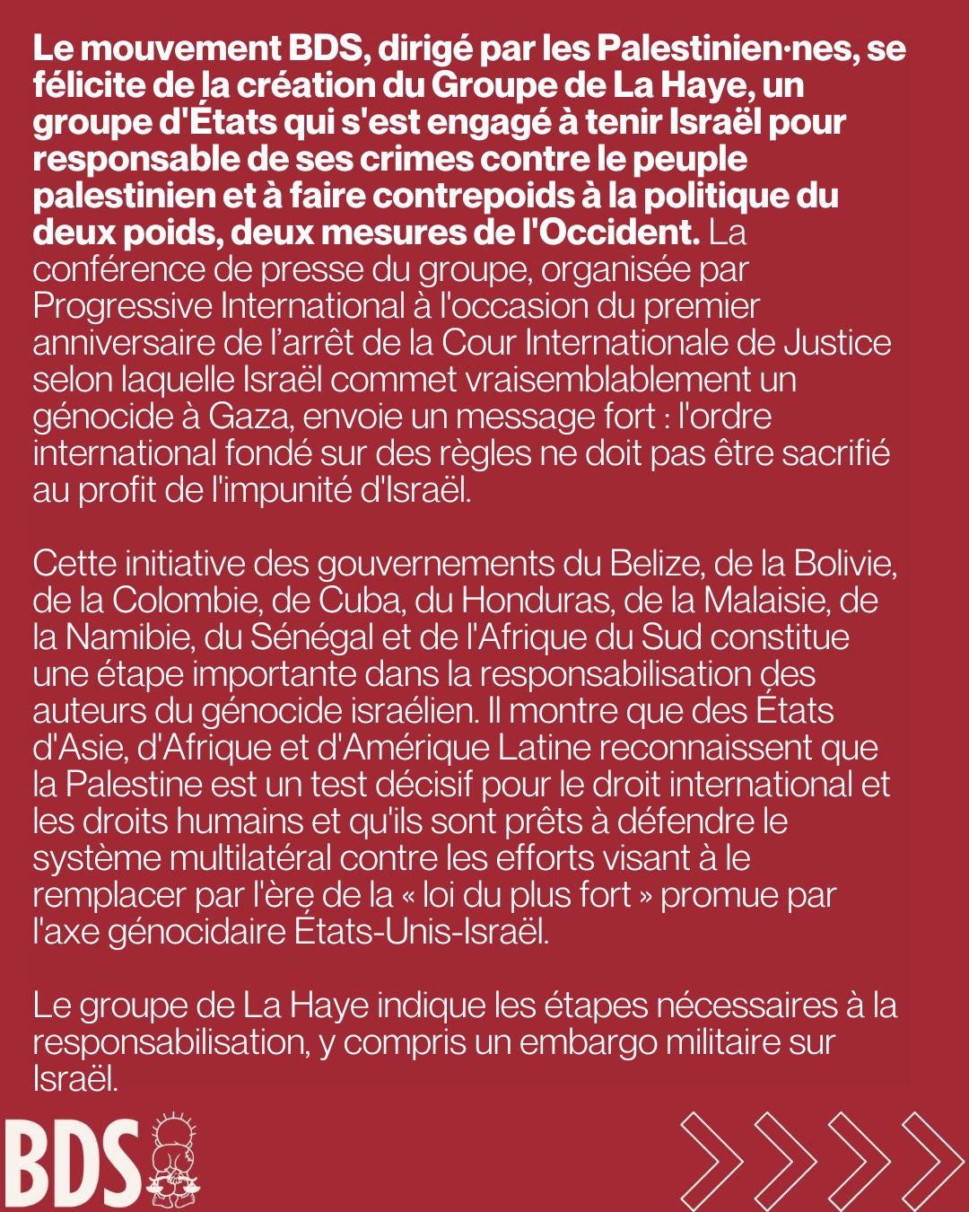 Neuf pays annoncent la création du Groupe de La Haye visant à défendre les droits des Palestiniens 4 Groupe2 Neuf pays annoncent la création du Groupe de La Haye visant à défendre les droits des Palestiniens