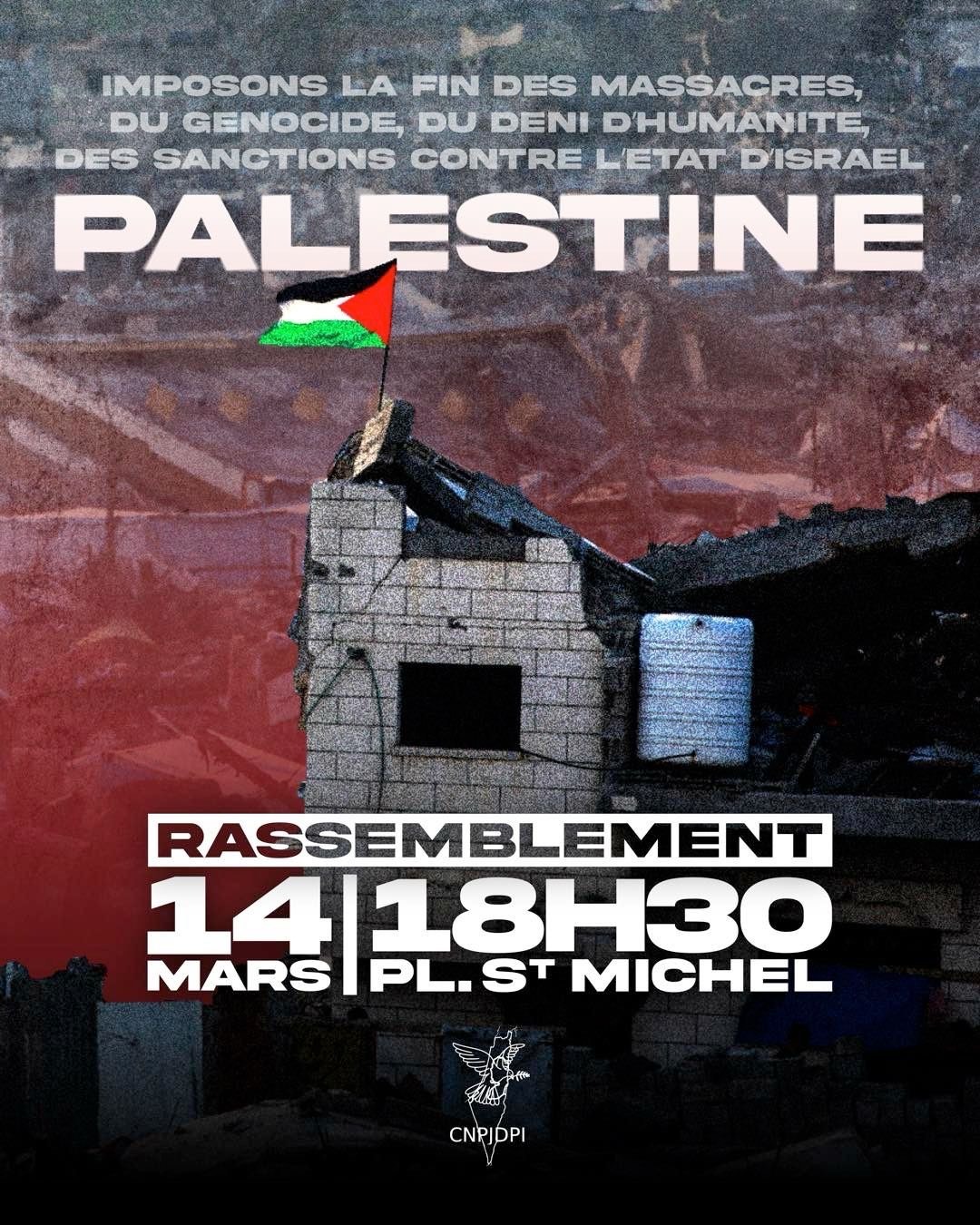 À Paris, rassemblement "Imposons la fin des massacres en Palestine