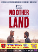 No other Land affichettes 3 juin 25 À la Tour du Pin (38), projection-débat de No other Land