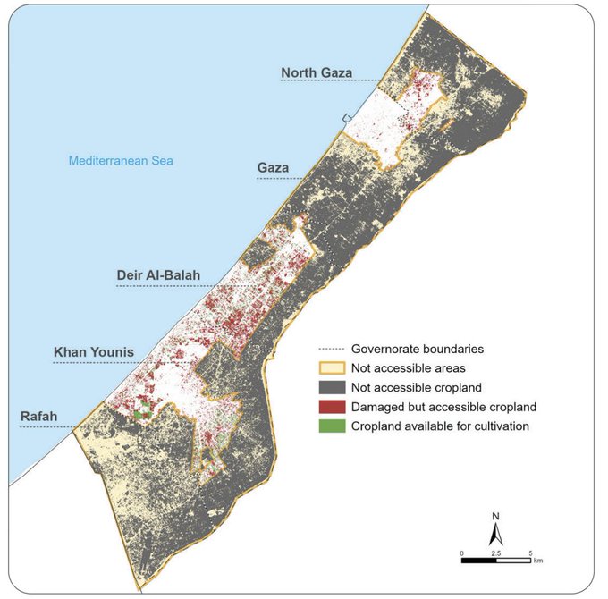 carte gaza Témoignage d'Abu Amir, le 25 mai 2025 (1) – Soutien alimentaire et travail éducatif