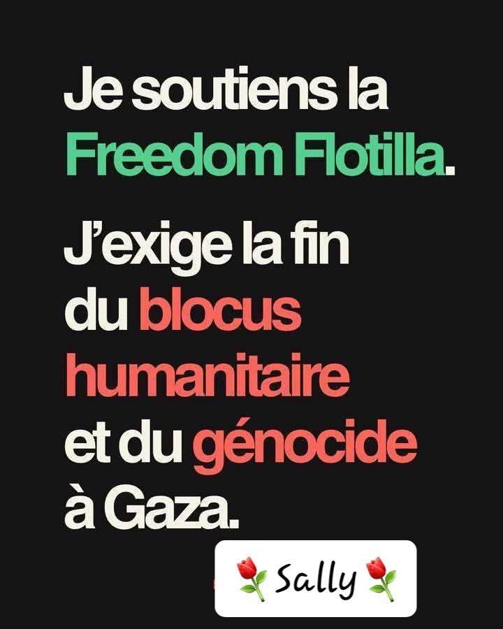 L'UJFP soutient la Marche Mondiale pour Gaza 2 flotille L'UJFP soutient la Marche Mondiale pour Gaza