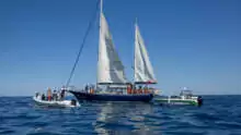 En direct avec Rima Hassan – Ne quittons pas des yeux la Freedom Flotilla !