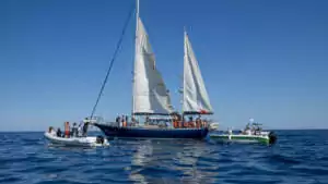 le Madleen En direct avec Rima Hassan - Ne quittons pas des yeux la Freedom Flotilla !