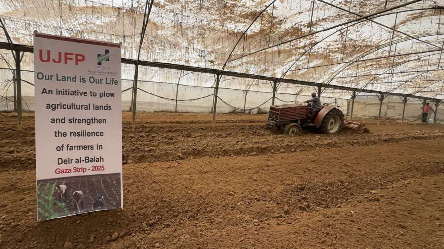 Témoignage d’Abu Amir, le 11 août 2025 - Sous le blocus… Les agriculteurs de Deir al-Balah cultivent la vie 2 Abu Amir 11 8 25 agriculture 2 IMG 5132 Témoignage d’Abu Amir, le 11 août 2025 - Sous le blocus… Les agriculteurs de Deir al-Balah cultivent la vie