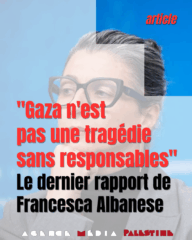« Gaza n’est pas une tragédie sans responsables »  le dernier rapport de Francesca Albanese 3 Albanese « Gaza n’est pas une tragédie sans responsables »  le dernier rapport de Francesca Albanese