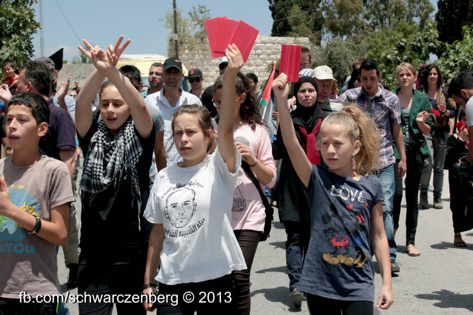 Manifestation contre l'occupation et l'apartheid à Nabi Saleh