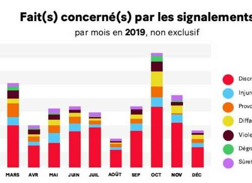 statistiques_rapport_ccif_2020.jpg
