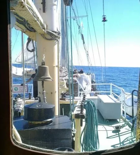 estelle2 jpg Estelle, la piraterie israélienne doit être sanctionnée