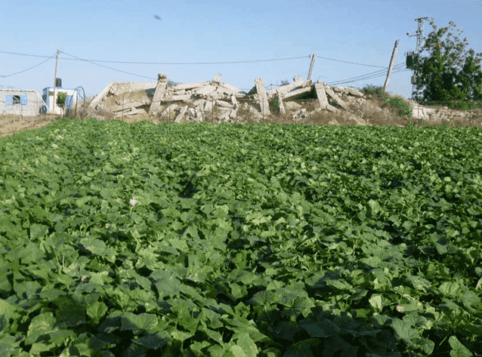urgence gaza Urgence Gaza: le château (d'eau) d'Abu Jamal