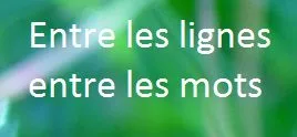 entre les lignes mots jpg Nous, melons, bamboulas, ritals, espingouins, portos, niakoués, polaks, youpins, romanos, métèques…