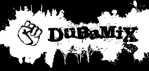 dubamix "Palestinian Dub" du groupe Dubamix