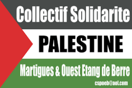 collectif solidarite palestinne Collecte pour organiser une rencontre sportive France /Palestine de footballeurs amputés