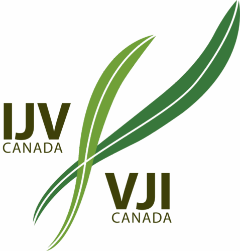 IJVlogo Open Letter to Mayors Concerning Upcoming Summit Against Antisemitism