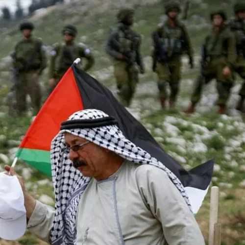 PalestineTerre jpg Israël-Palestine. L’histoire d’un système «sophistiqué» d’expropriation des terres