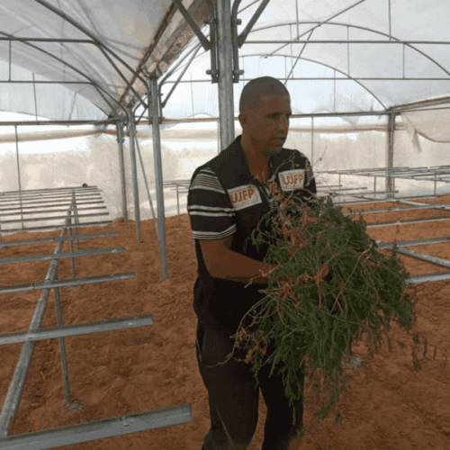 Pepi1 Rapport d’activité agricole pour le mois de septembre 2021 : "La pépinière solidaire"