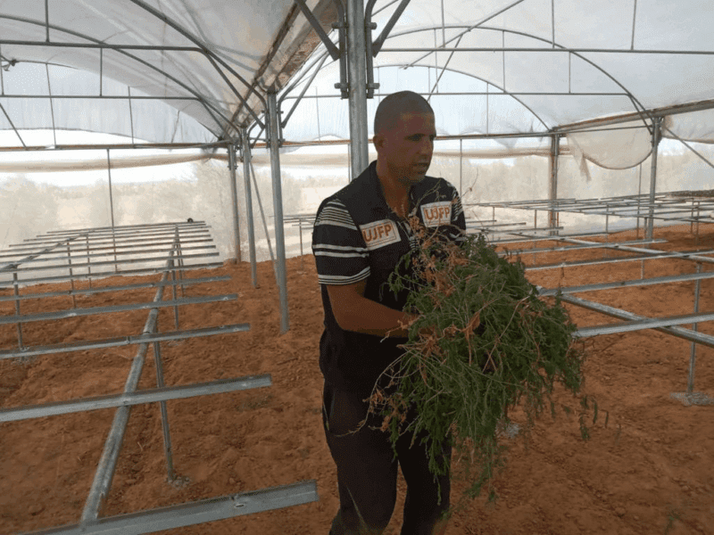 Pepi1 Rapport d’activité agricole pour le mois de septembre 2021 : "La pépinière solidaire"