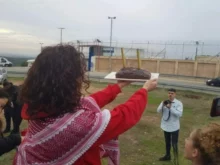 Appel à solidarité avec les prisonnières palestiniennes de la prison de Damoun !