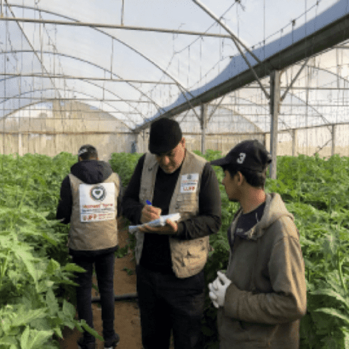 PÉPINIÈRE DÉCEMBRE 2021 RAPPORT DE LA SITUATION AGRICOLE DANS LA BANDE DE GAZA POUR LE MOIS DE DÉCEMBRE 2021