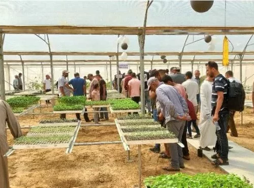 pépinière de gaza photo 2 septembre 2022 jpg Rapport sur la situation agricole dans la bande de Gaza - juin et juillet 2022
