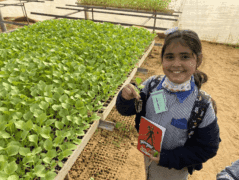 Lamour de la terre se transmet 002 Pour la pépinière de Gaza