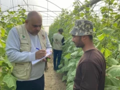 pepiniere jpg À Rennes (35), "Solidaires avec les paysans de Gaza"