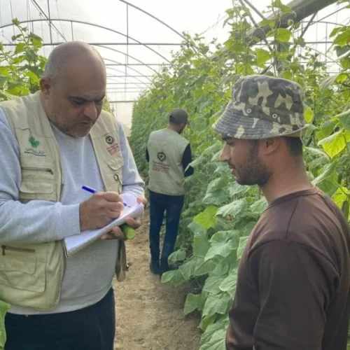 pepiniere jpg À Pont-l'Abbé (29), soirée de solidarité avec les paysans de Gaza