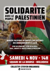Manif 4 novembre jpg À Mulhouse, marche pacifique en soutien des victimes des bombardements à Gaza