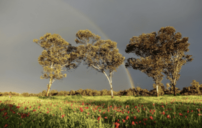 beerigaza Témoignage d'une survivante du kibboutz Be'eri