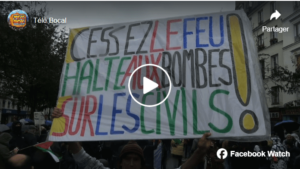Capture decran 2023 11 10 160550 Vidéo de la manifestation de solidarité avec le peuple palestinien du 4 novembre à Paris