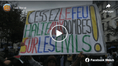 Capture decran 2023 11 10 160550 Vidéo de la manifestation de solidarité avec le peuple palestinien du 4 novembre à Paris