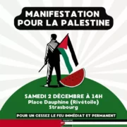 ManifPalestine jpg À Strasbourg, manifestation pour la Palestine