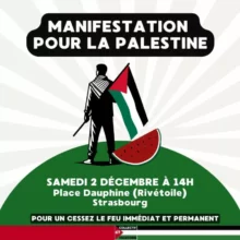 ManifPalestine jpg À Strasbourg, manifestation pour la Palestine