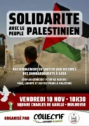 TRACT Mulhouse 10 novembre jpg À Mulhouse, rassemblement en solidarité avec le peuple palestinien